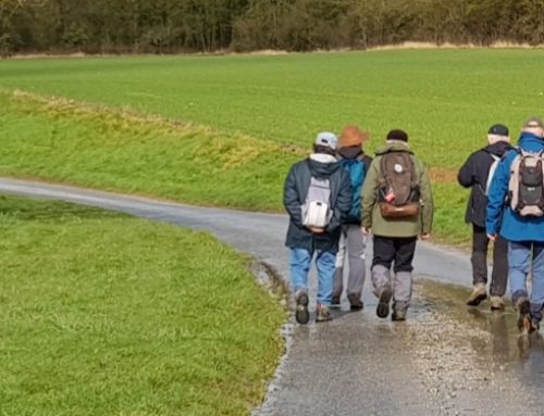 Bienvenue sur le site de LQQM !